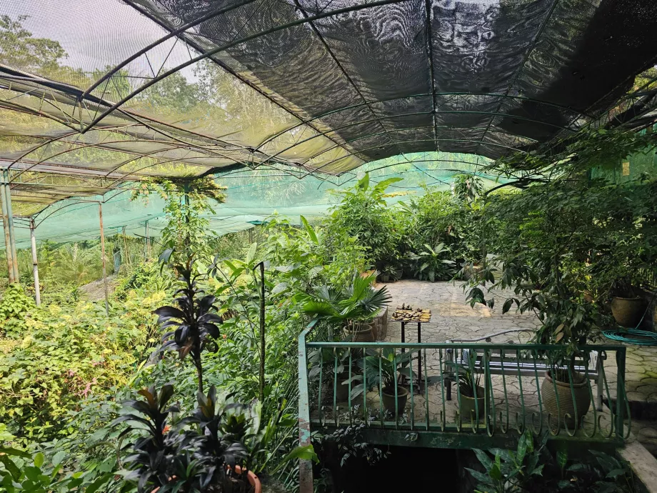 Parque de las Mariposas