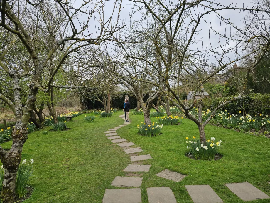 Jardines Crook