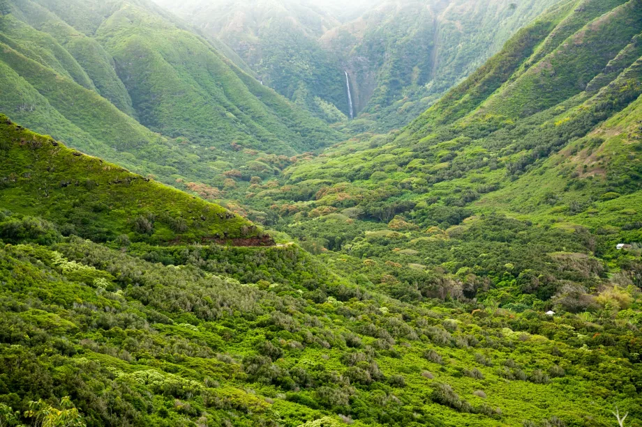 Valle de Halawa