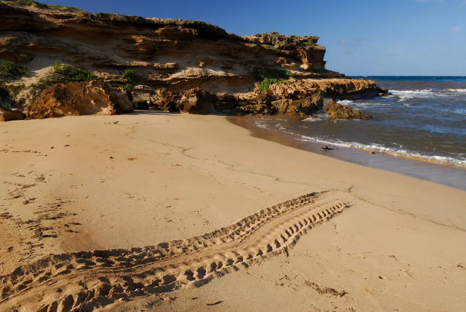 Playa de Moomomi