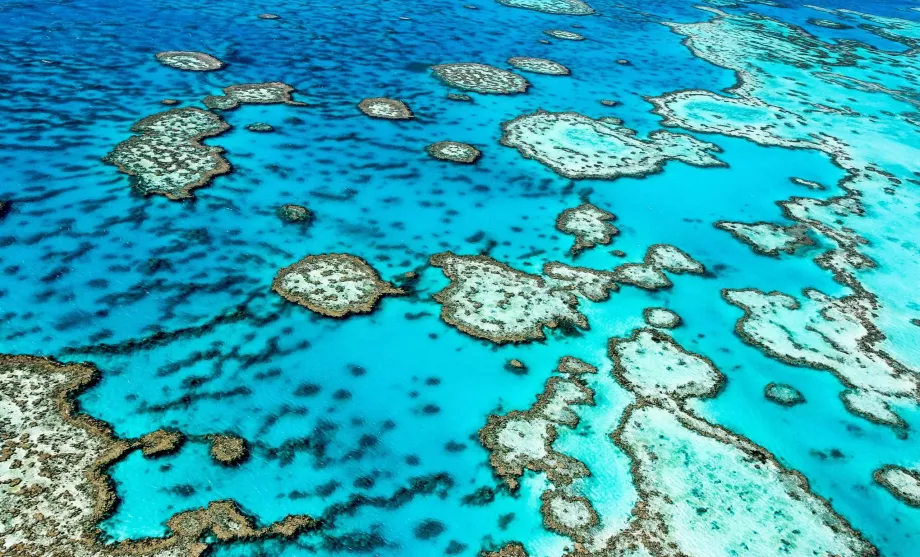 Gran Barrera de Coral
