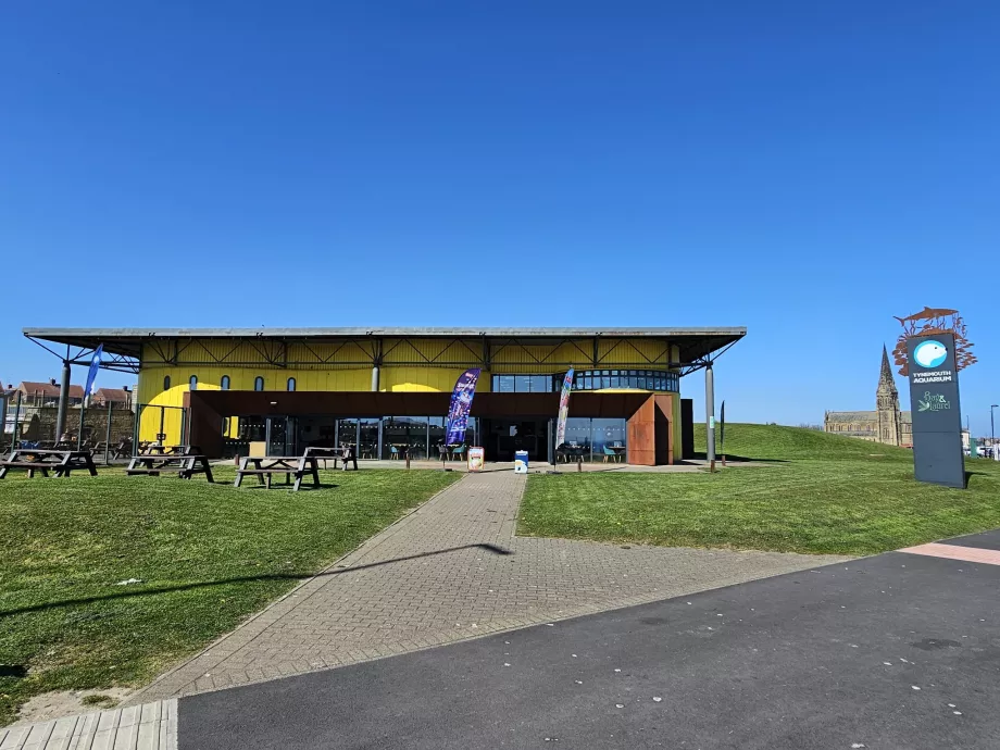 Acuario de Tynemouth