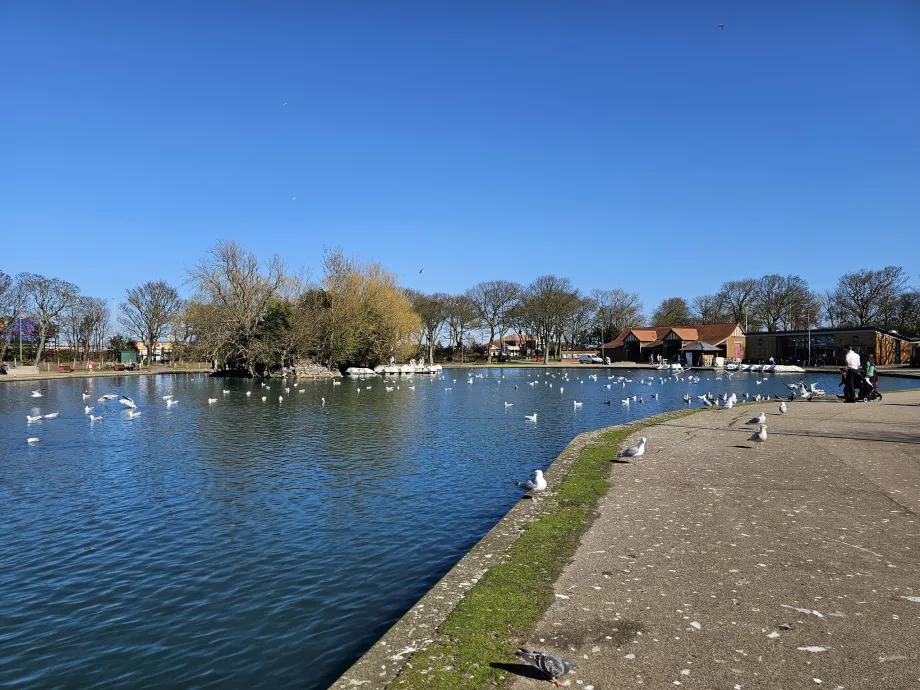 Lago deportivo
