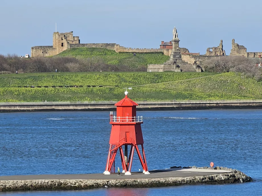 Faro Herd Groyne