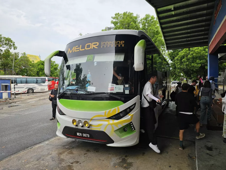 Melor Interline, autocar
