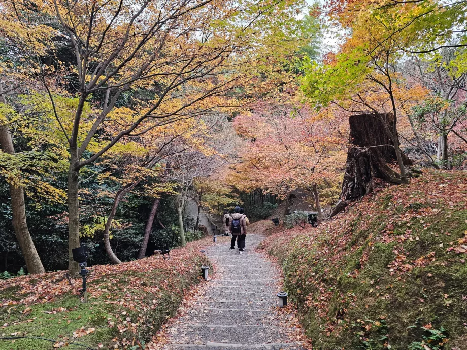 Templo Kodai-ji, Jardines