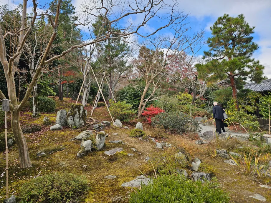 Tenryu-ji, jardines