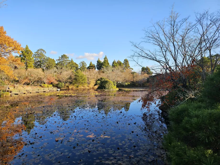 Templo Ryoan-ji