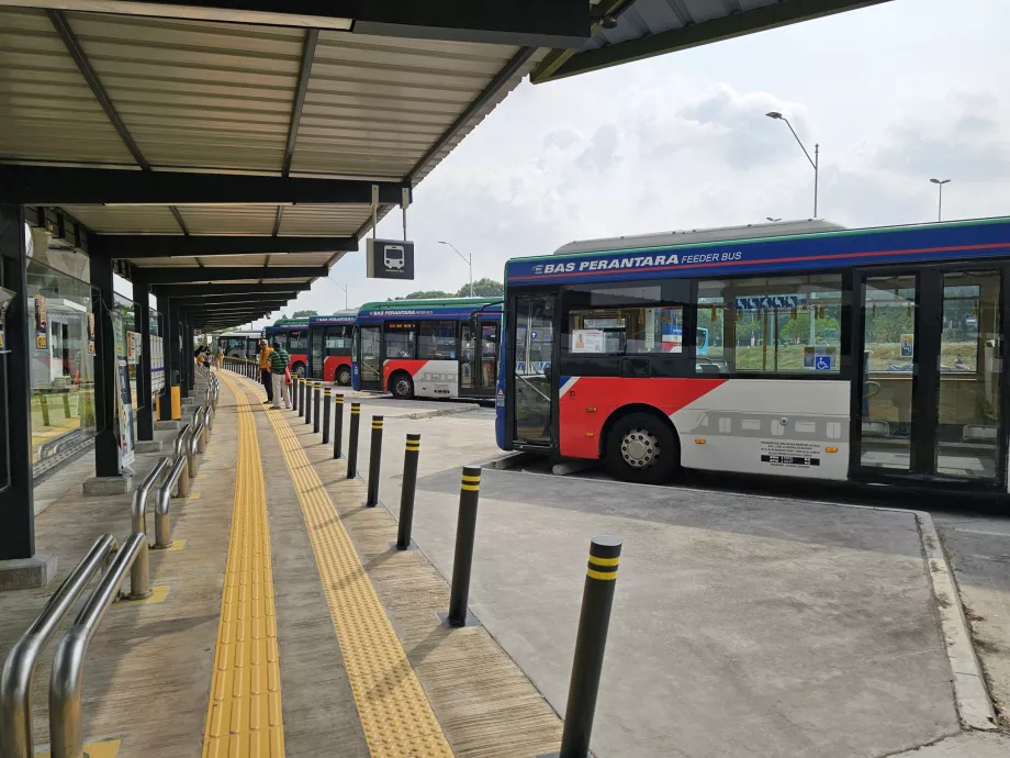 Autobuses urbanos