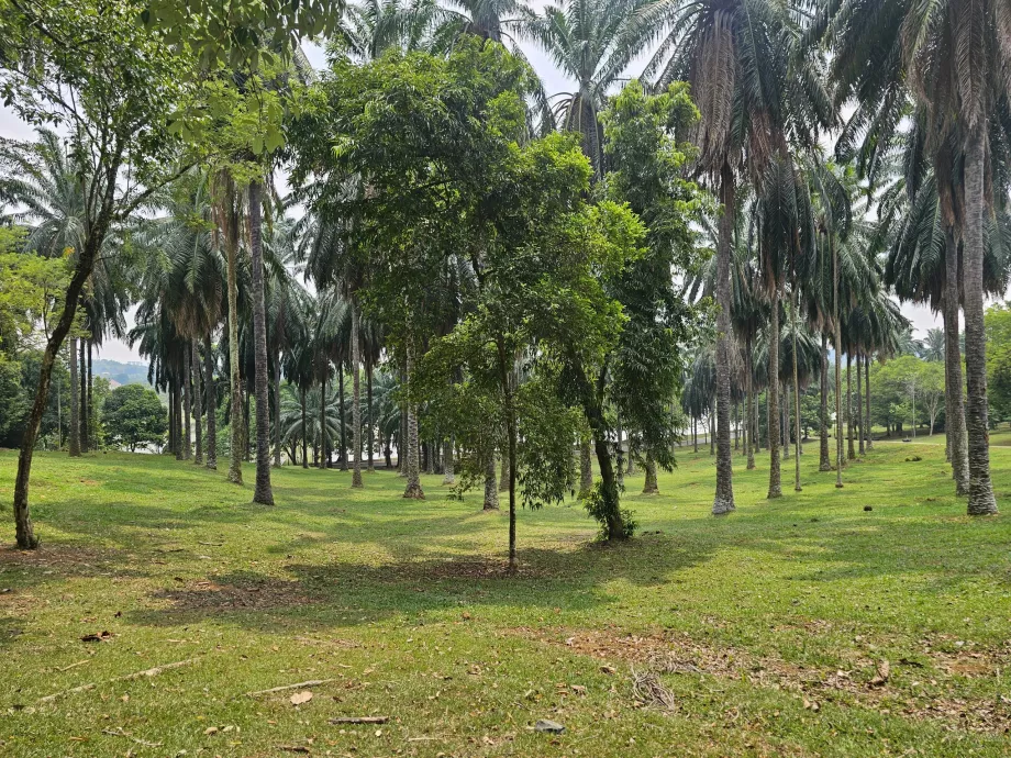 Jardín botánico