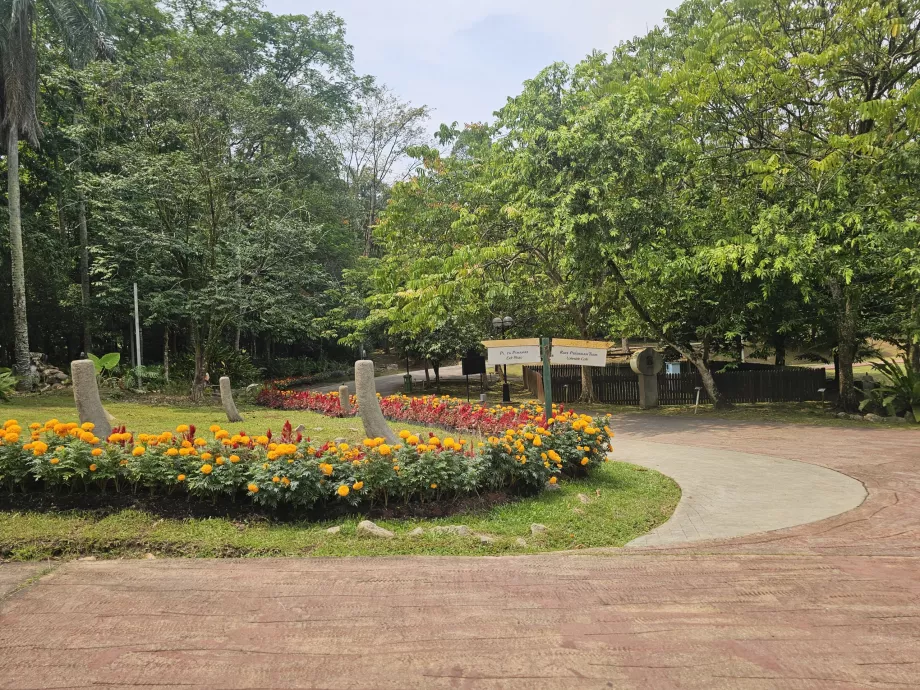 Jardín botánico