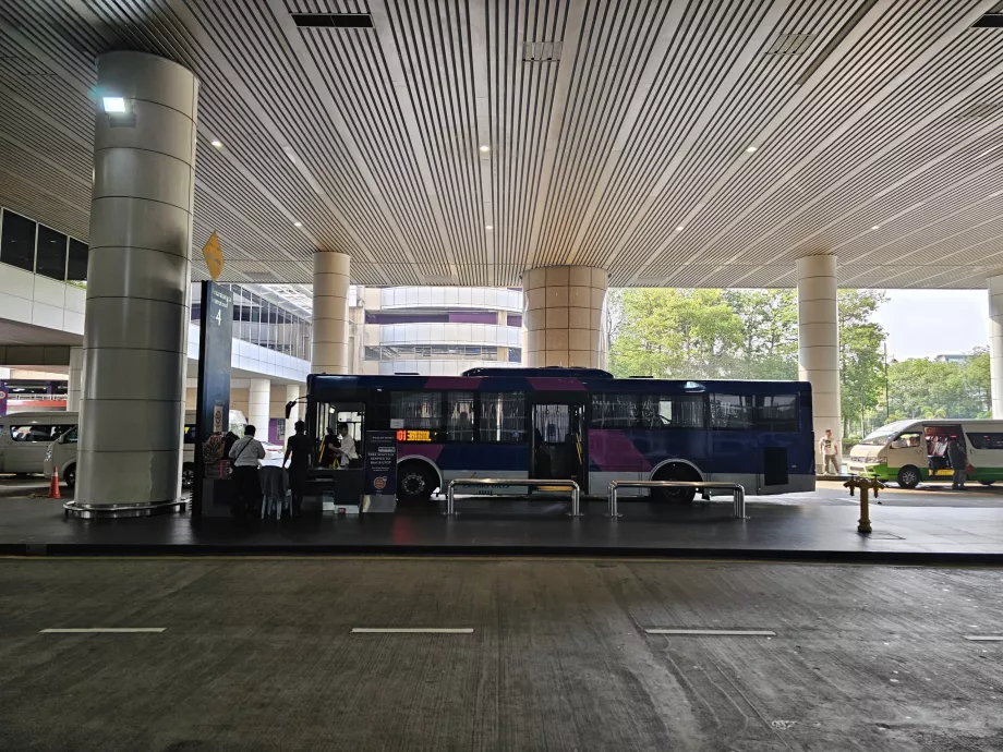 Parada del autobús lanzadera, Terminal 1