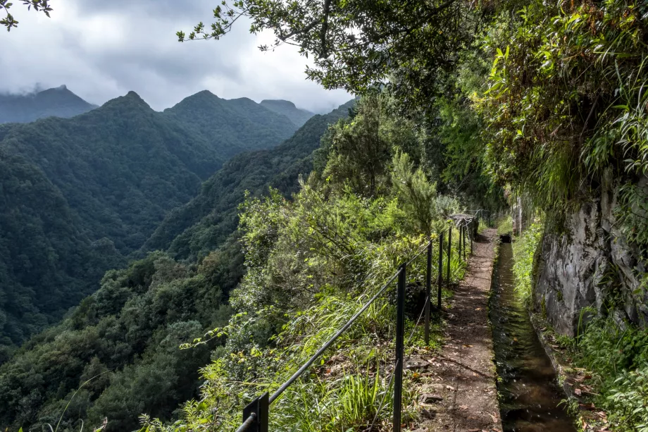 De Levada a Rei