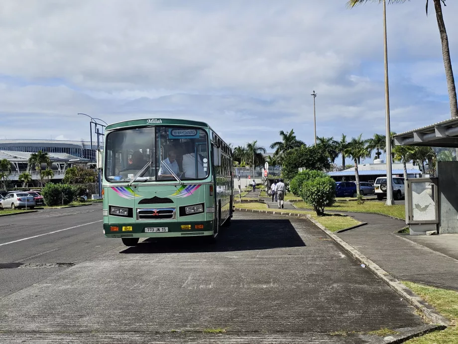 Autobús - transporte público