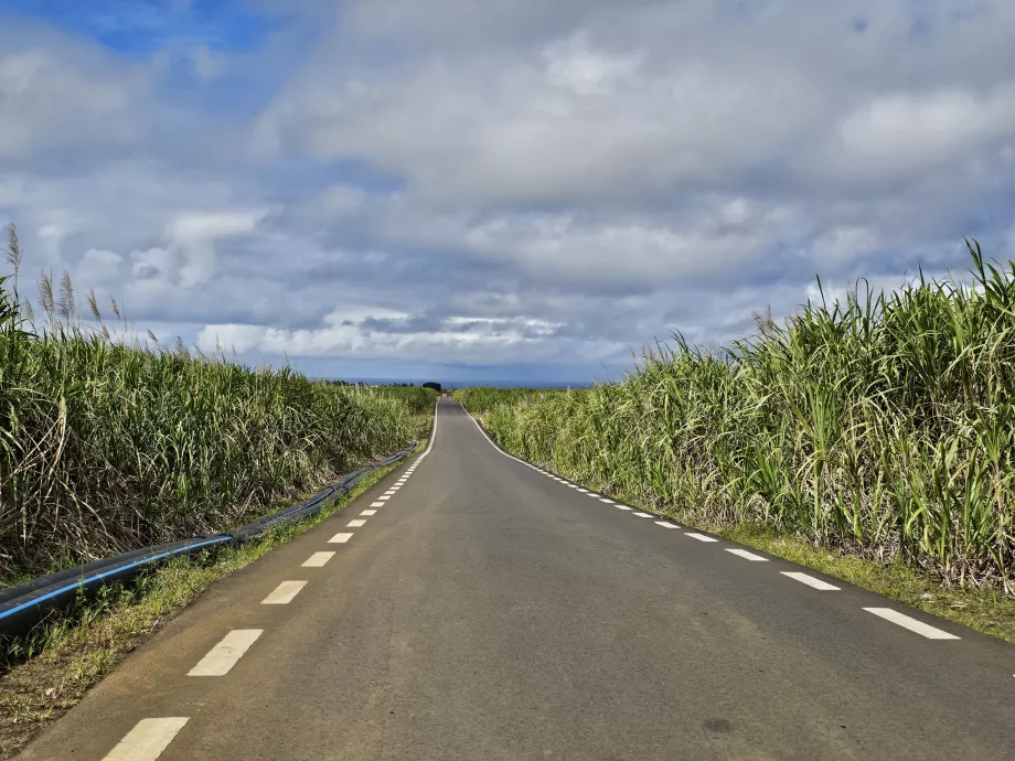 Carreteras secundarias