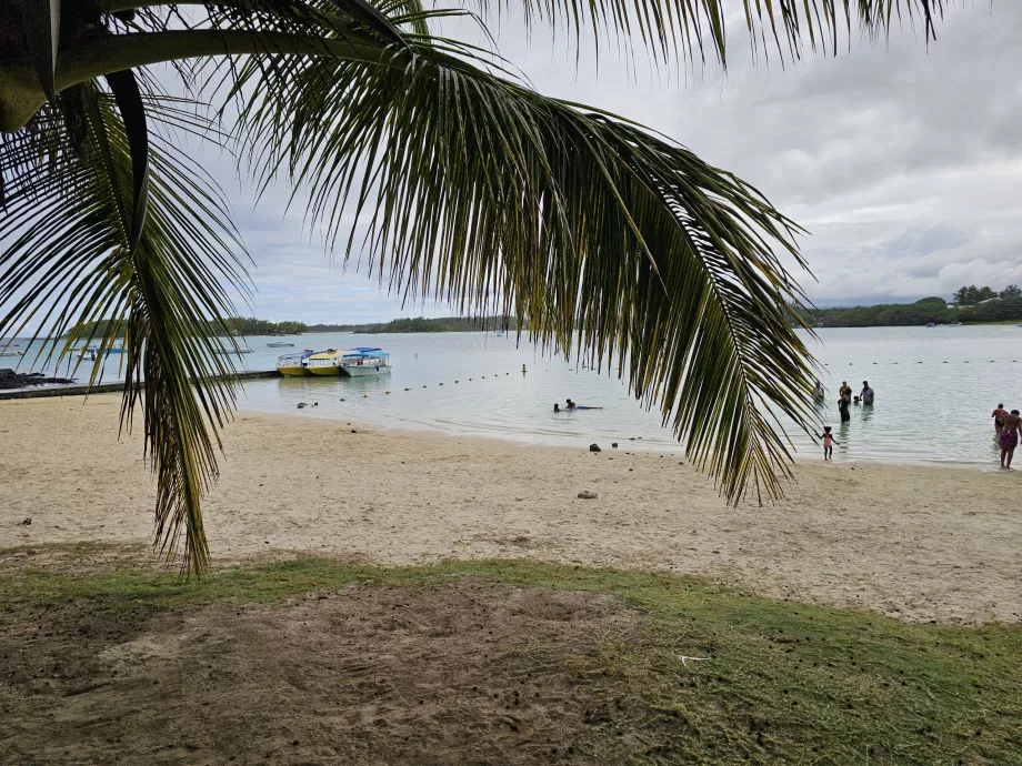 Bahía Azul