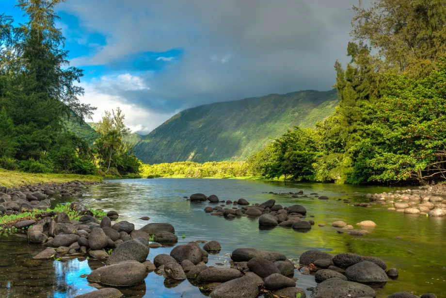 Viaje por el río