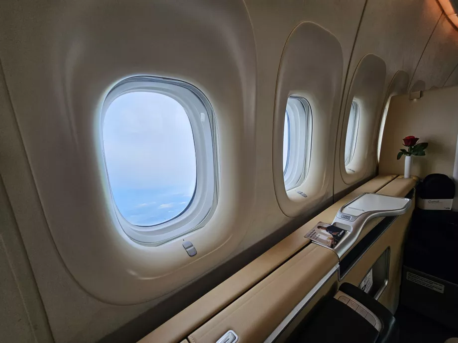 Ventanas y compartimentos portaobjetos