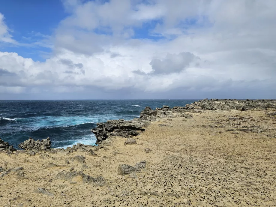 Cuánto cuesta au Phare