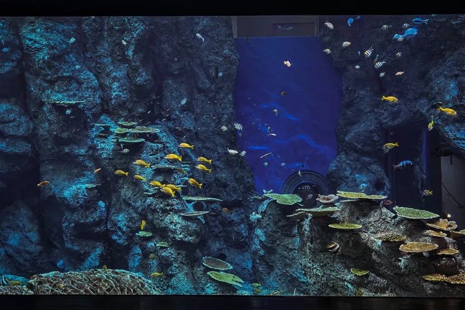 Parque Sea Life
