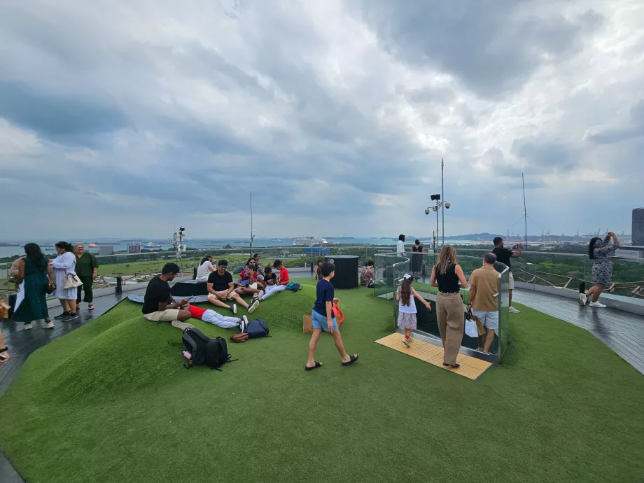 Observatorio Supertree