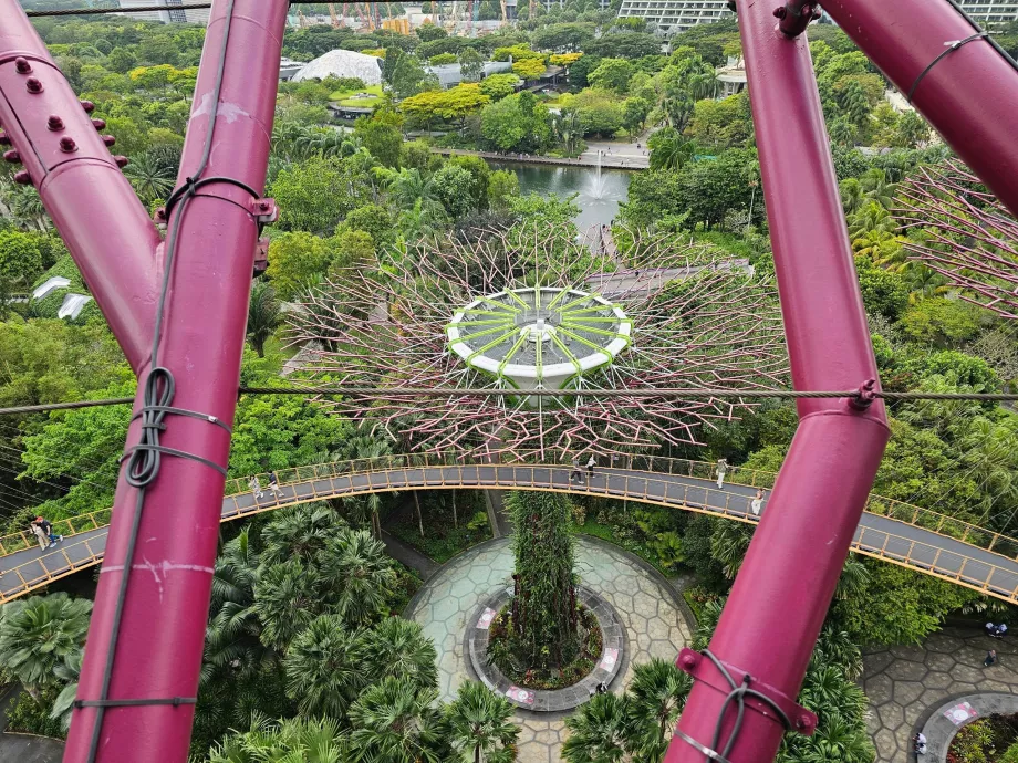 Observatorio Supertree