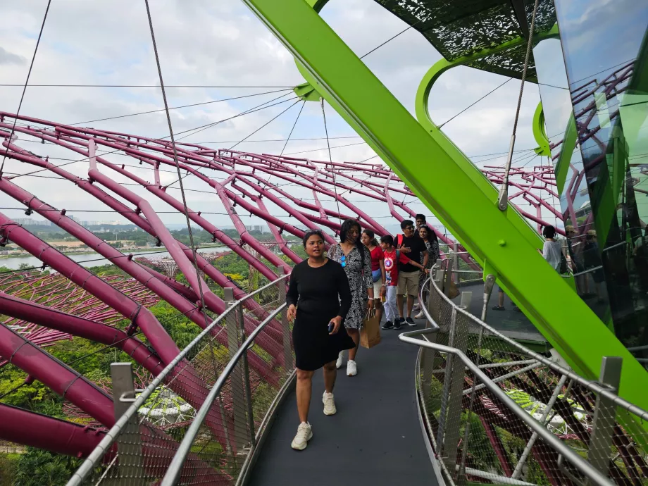 Observatorio Supertree