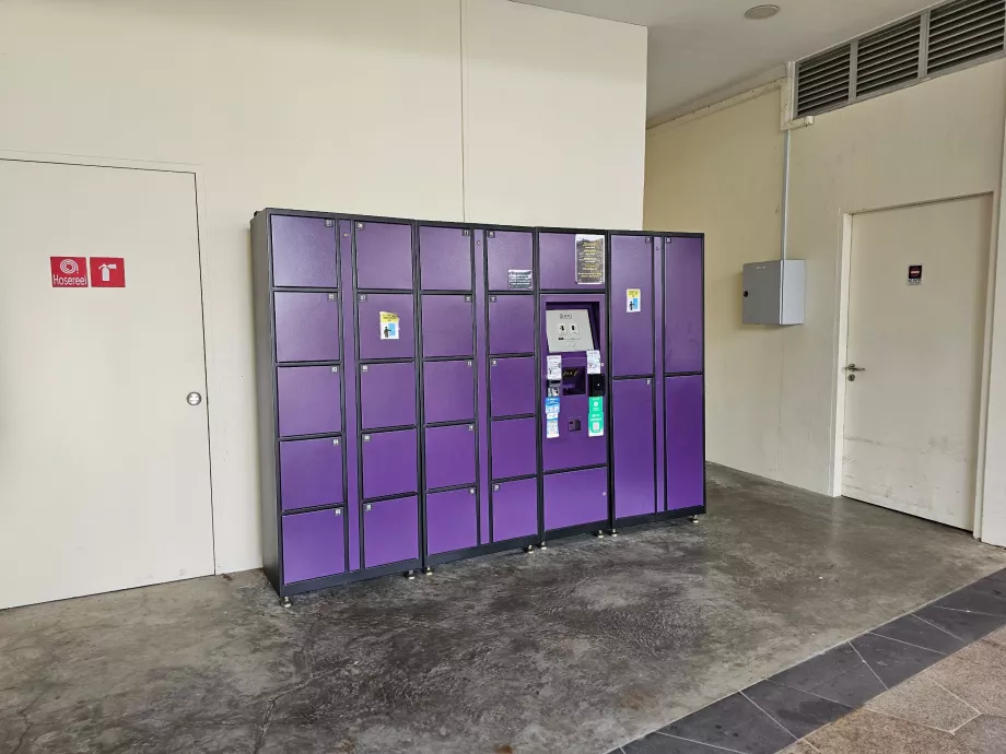 Consigna de equipaje en la entrada principal