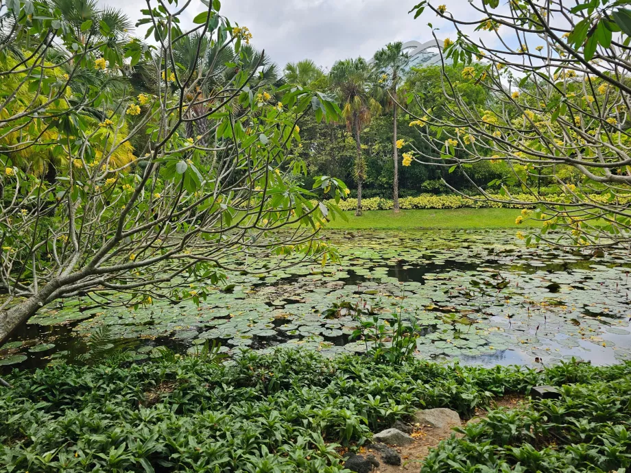 Jardines de la Bahía