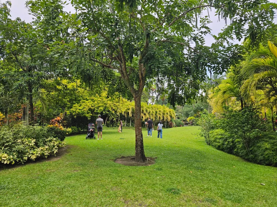Jardines de la Bahía