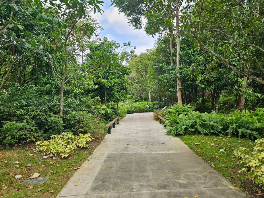 Jardines de la Bahía