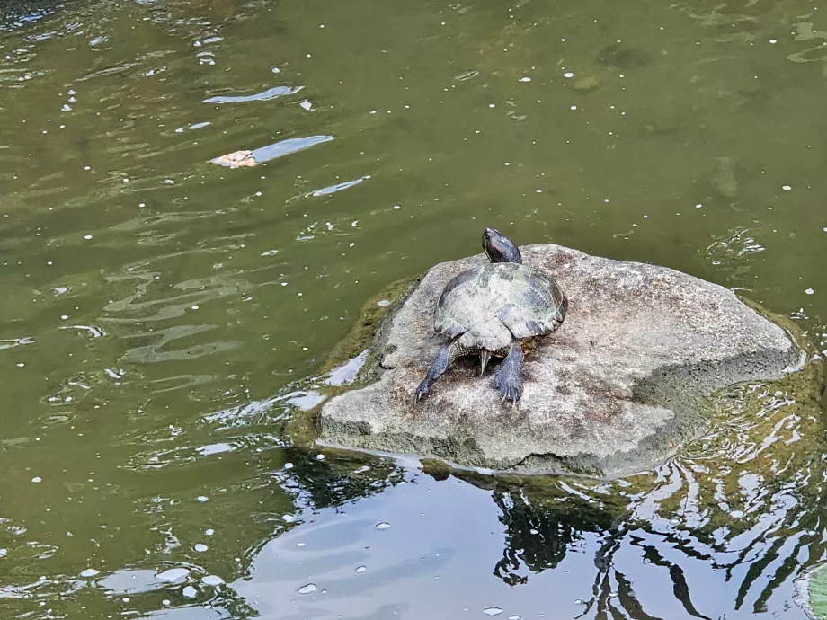 Jardines de la Bahía