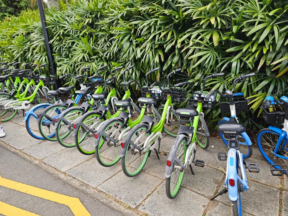 Bicicletas compartidas en Singapur