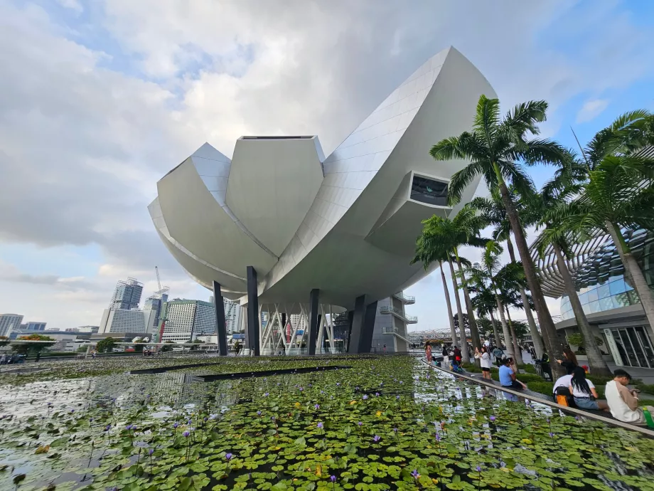 Museo de Arte y Ciencia