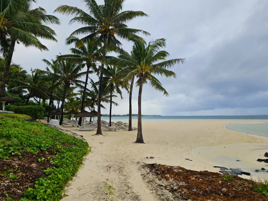 Playa del Palmar