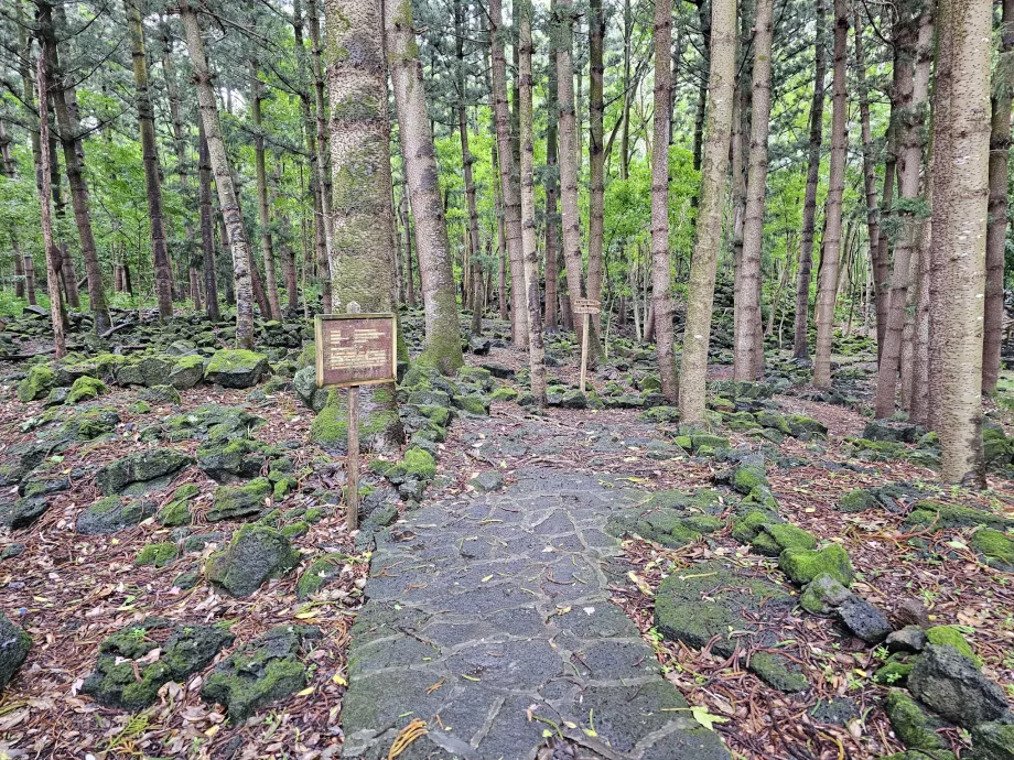 Parque Nacional de Bras d'Eau, ruta de senderismo