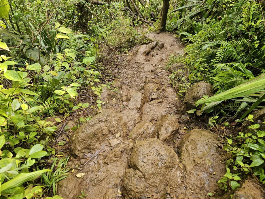 Sendero de las 7 Cascadas