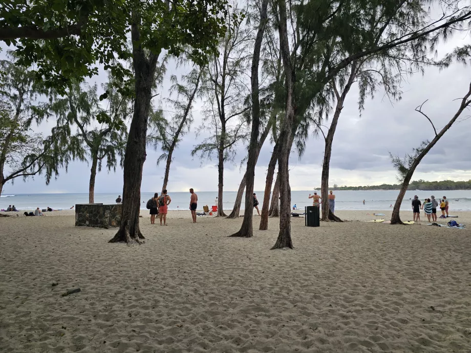 Playa de Tamarin