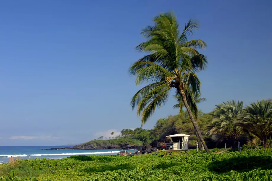 Playa Spencer