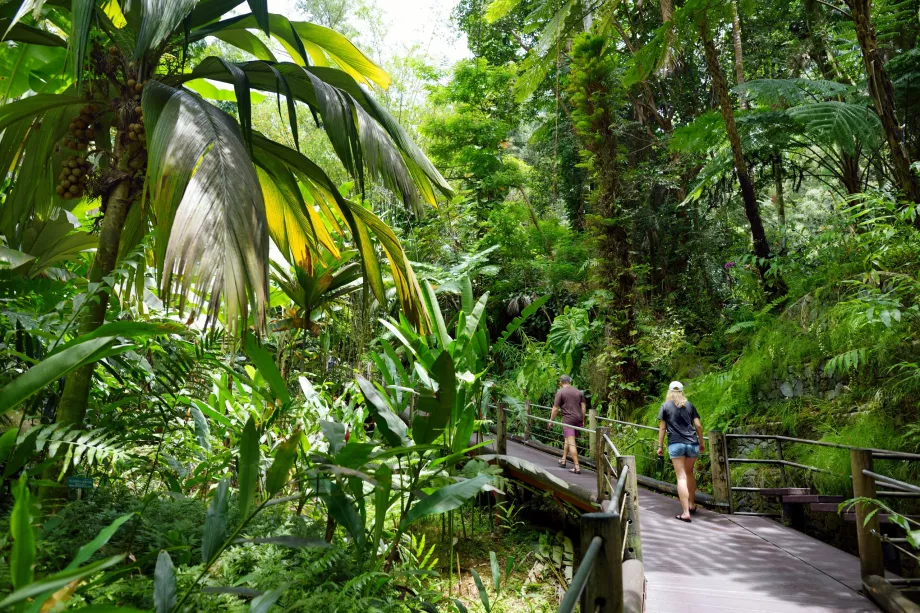 Jardín Botánico Tropical de Hawai