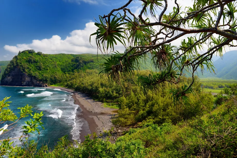 Sendero Pololu