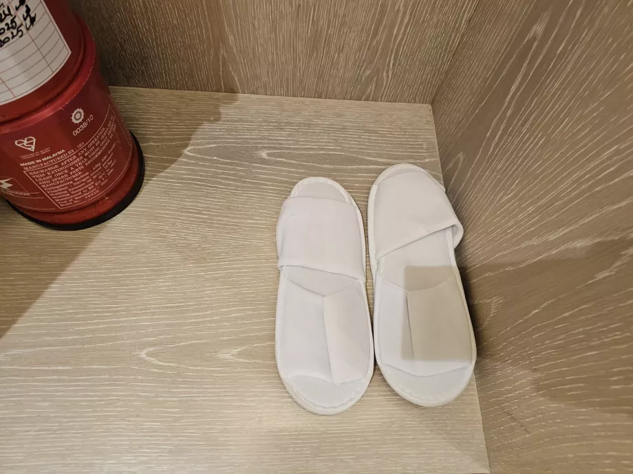 Zapatillas