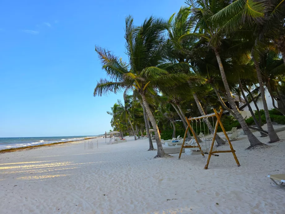 Playas de Tulum