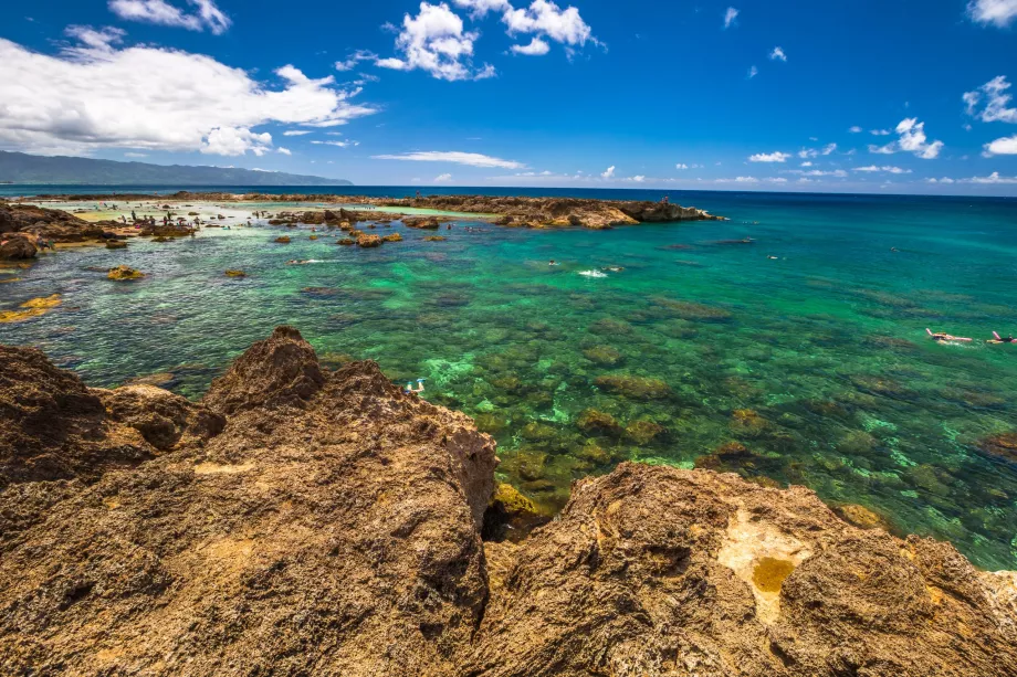 Cala de los Tiburones