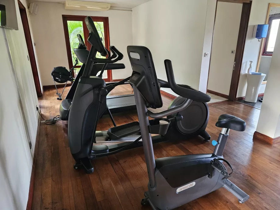 Gimnasio