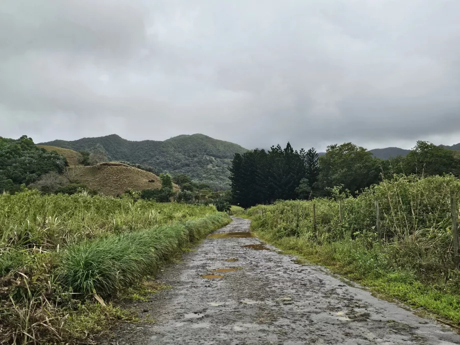Valle de Ferney