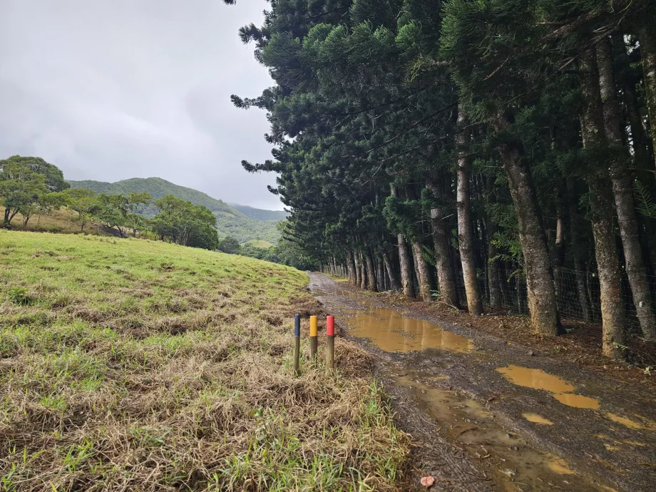 Valle de Ferney