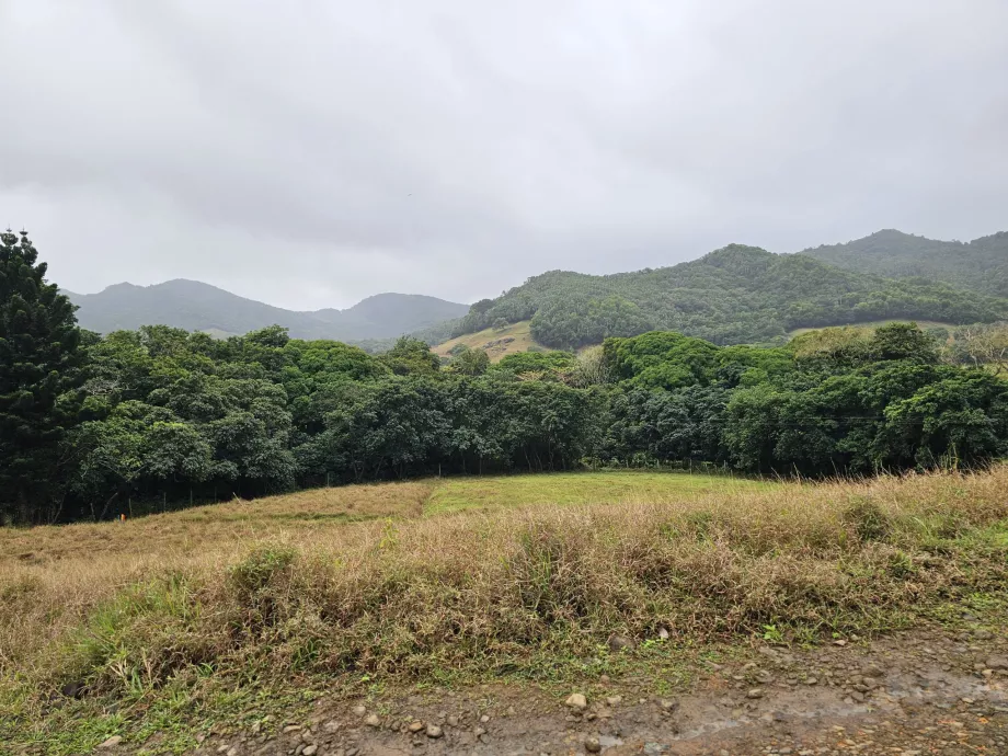 Valle de Ferney