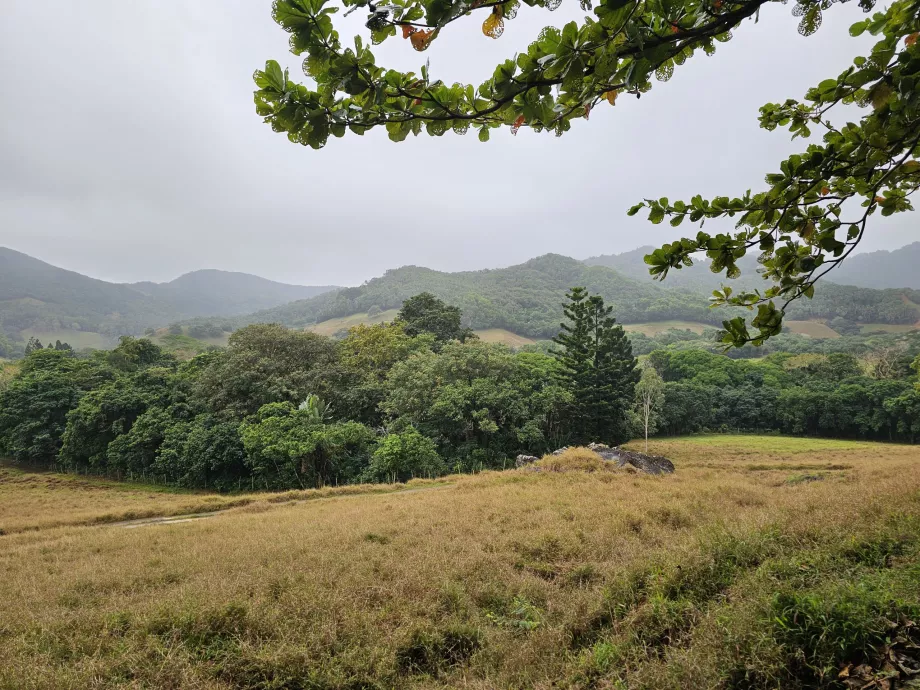 Valle de Ferney