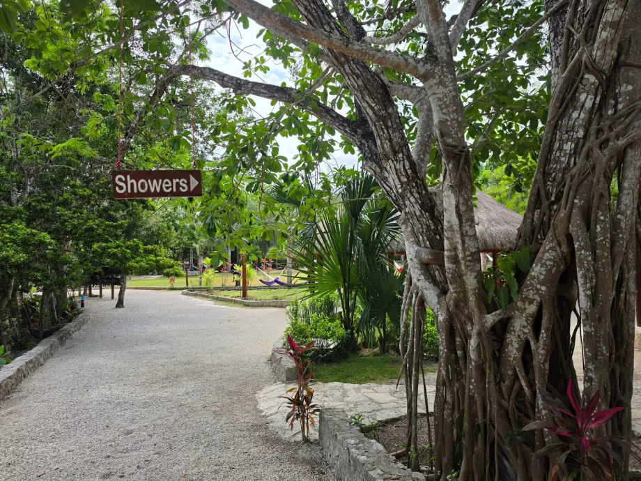 Chubascos